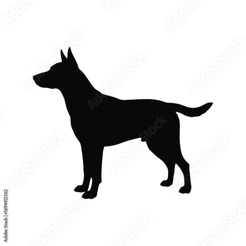 Sleek black silhouette of a german shepherd dog standing alertly vector
