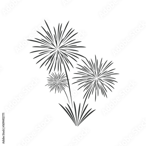 Exploding fireworks burst celebration festive light show pyrotechnic display vector