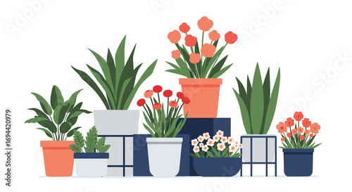 A colorful collection of potted plants for home decor