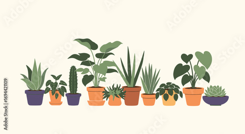 A beautiful collection of various potted houseplants in a row on a neutral background