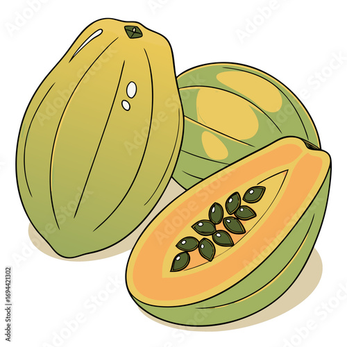 melon and watermelon