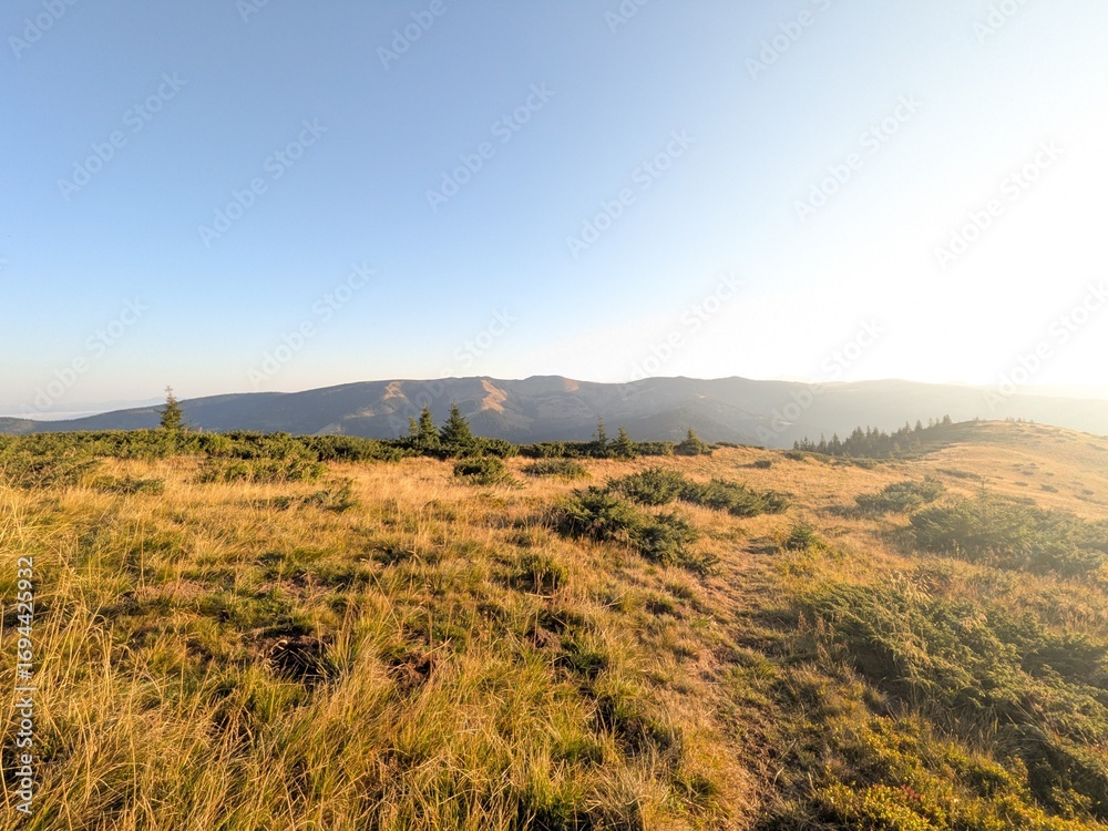 Fototapeta premium landscape of tuscany