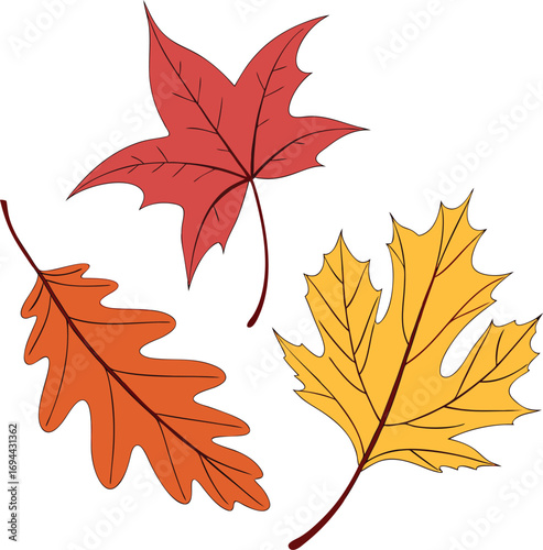 Autumn Leaves File, Fall Vector , Leaves Vector