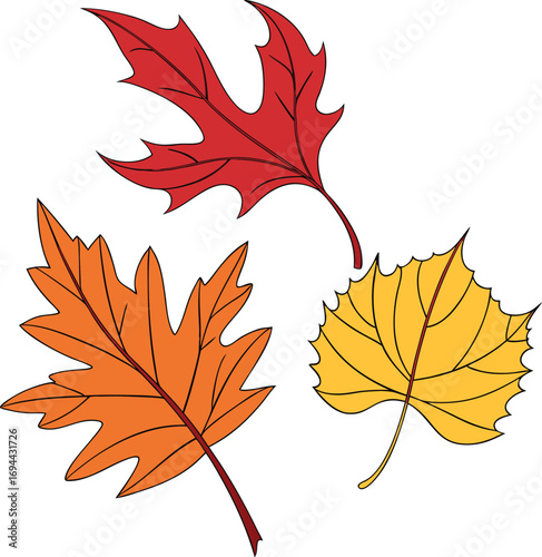 Autumn Leaves File, Fall Vector , Leaves Vector