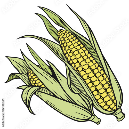 Vibrant vector illustration of two freshly picked golden yellow ears of corn with their green husks, perfect for agricultural, culinary, and healthy food design concepts