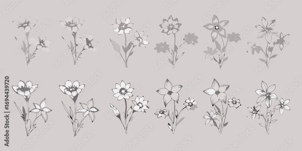 Obraz premium Collection of delicate hand drawn floral illustrations in monochrome grey tones on a neutral background