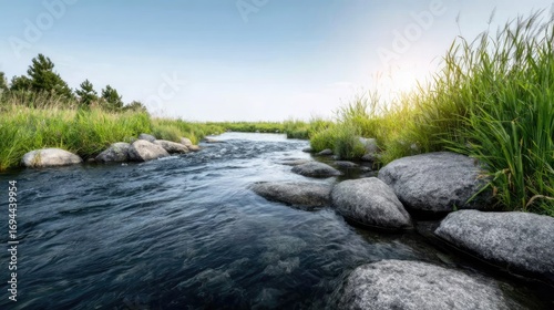 A quiet countryside stream with smooth stones and dragonflies, warm sunlight, tall grass swaying in the breeze, peaceful nature 