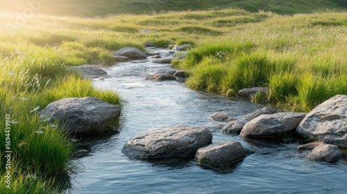 A quiet countryside stream with smooth stones and dragonflies, warm sunlight, tall grass swaying in the breeze, peaceful nature 
