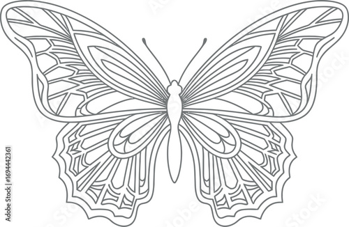 Vector Feather Line Art Illustration