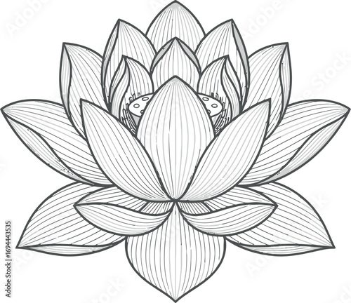 Red Phoenix Line Art Vector Illustration
