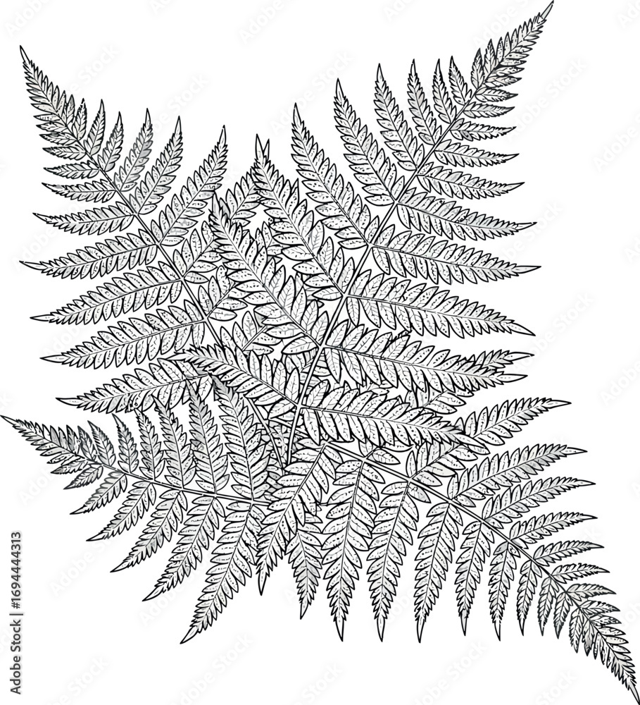 Naklejka premium Succulents in Triangular Pot - Line Art