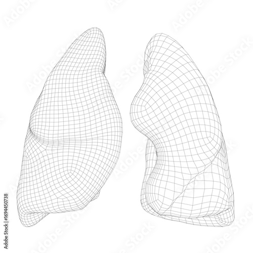 Human lungs rendered as a detailed 3D wireframe model on a clean white background, showcasing realistic anatomical ridges and grooves.