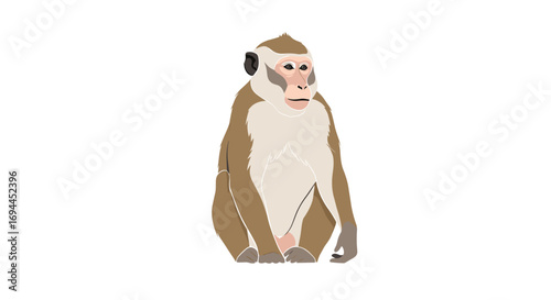 A curious monkey sits alertly observing its surroundings with wide eyes