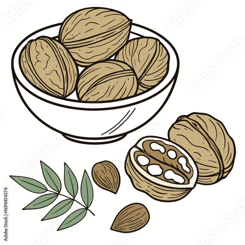 A detailed hand-drawn sketch of fresh walnuts in a bowl, with cracked nuts, kernels, and green leaves isolated on a white background