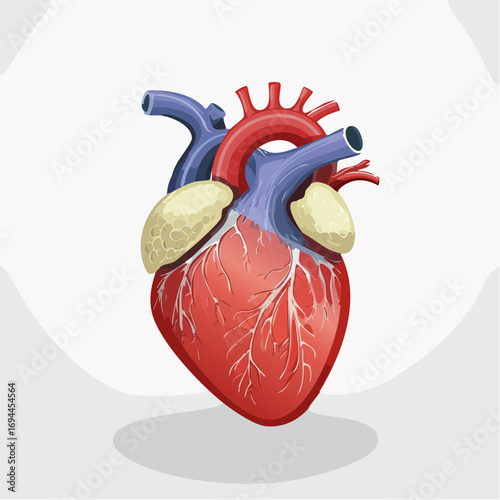 Emoji human Heart. Real human heart organ icon. Red heart icon in flat style isolated vector illustration.
