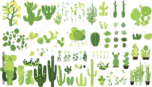 Collection of various green cactus and succulent plants in a simple flat design illustration