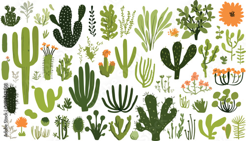 A vibrant collection of diverse desert succulents and cacti in various shapes and sizes