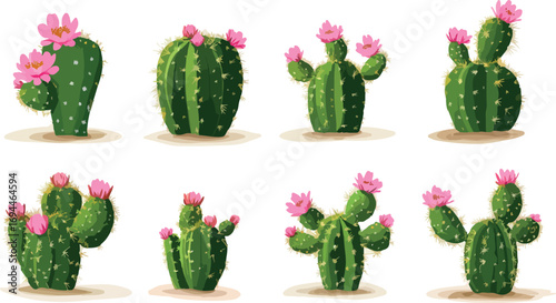 Collection of eight vibrant green prickly pear cactus plants adorned with delicate pink blossoms