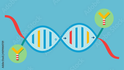 Epigenetic Code A simplistic illustration of a DNA strand with highlighted tags and markers yl groups demonstrating epigenetic modifications.