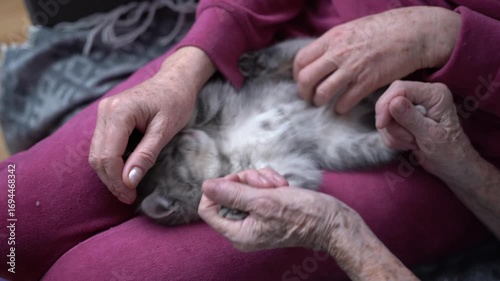Family time. Seniors woman and her elderly daughter play together with Scottish sprightly kitten on couch at home. Animal-assisted therapy for dementia. Daughter visits aged mother in nursing home. 