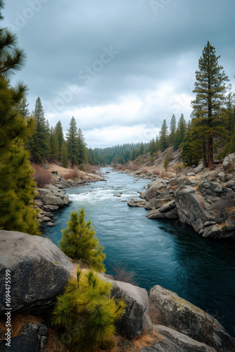 River flowing through rocky landscape forested area natural scene tranquil view