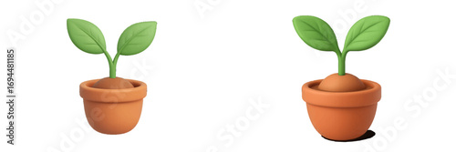 Potted plant seedling with green leaves in a terracotta pot representing growth and new beginnings isolated on a white background