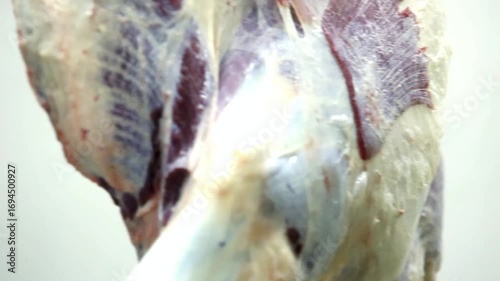  deboning of meat, beef deboning  on the factory