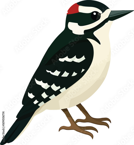 vector illustration of a bird