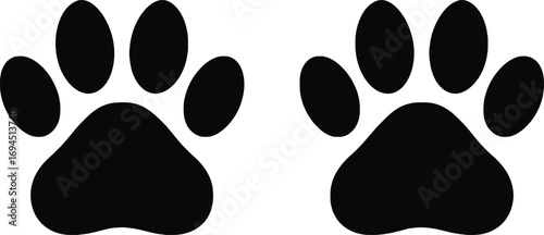 Black and white rabbit and cat with animal icons in vector illustration style