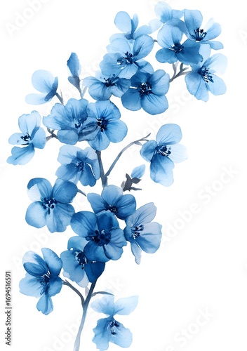 Watercolor blue flax flower clipart, on a white background with margins, 