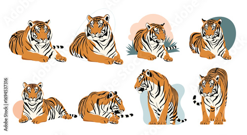 Collection of stylized tiger poses illustrations featuring diverse background elements