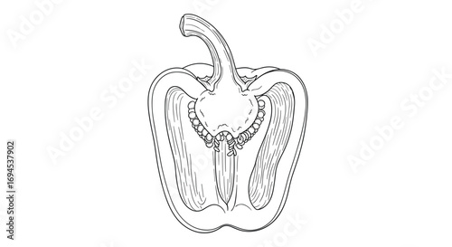 Close up view of a cross section of a bell pepper showing seeds and inner chambers for cooking and healthy eating