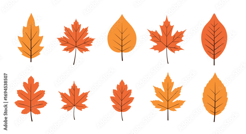 Fototapeta premium Collection of autumn leaves in vibrant orange and yellow hues for seasonal decorations