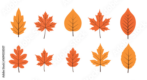 Collection of autumn leaves in vibrant orange and yellow hues for seasonal decorations