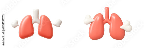 Modern stylized human lungs with bronchi and trachea, illustrating the essential respiratory system and breathing