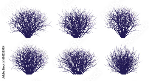 Exploration of dynamic visual patterns in abstract particle clusters and their algorithmic generation