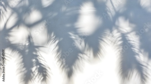 Sunlit wall with palm shadow patterns, 4K clarity using a 50mm lens, fine edge definition and smooth tonal transitions in daylight