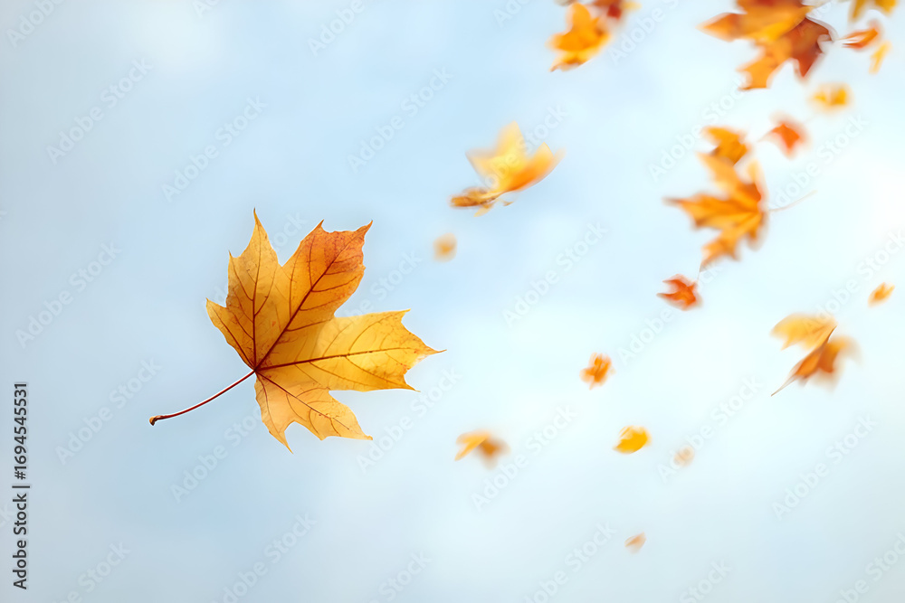 Fototapeta premium Falling orange leaves dance in the breeze against a soft blue sky, capturing the essence of autumn's beauty and tranquility.