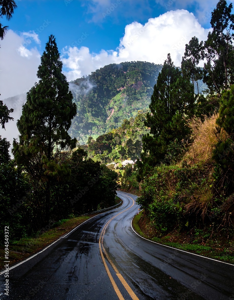 Fototapeta premium Winding mountain road through lush green forest after rain