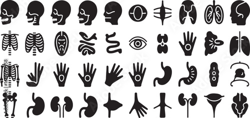 Medical Anatomy Solid Icons – 40 Black Vector Body Organ Pictograms