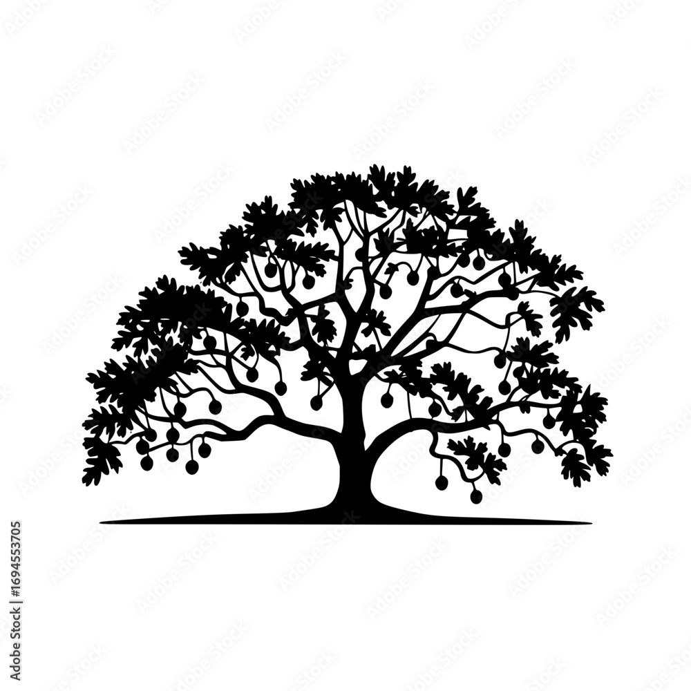 Fototapeta premium Elegant silhouette of a mature oak tree adorned with bountiful fruit symbolizing growth and abundance