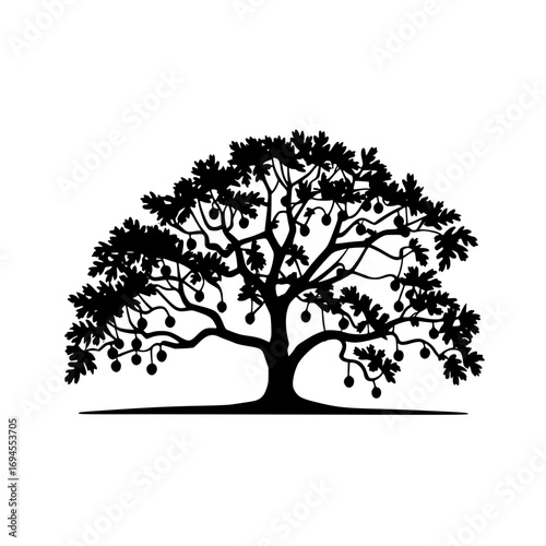 Elegant silhouette of a mature oak tree adorned with bountiful fruit symbolizing growth and abundance