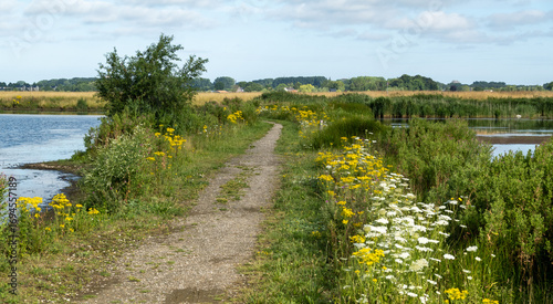 Obraz na plátně New nature in the Netherlands: an emergency floodwater storage basin developing