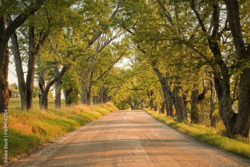 Slika na platnu Tree-lined stretch of Darling Hill Road, in Burke, Vermont