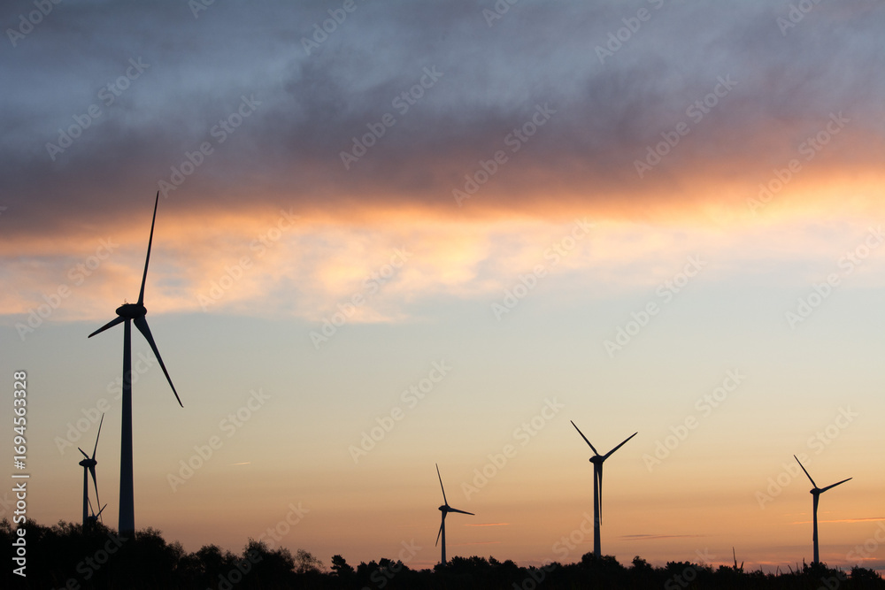 Obraz premium Windkraftanlagen im Maisfeld am Morgen, erneuerbare Energie Landschaft – Wind turbines in cornfield in the morning, renewable energy landscape