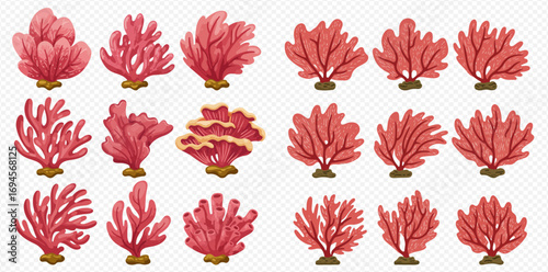 Collection of diverse pink coral illustrations, showcasing various shapes and textures.