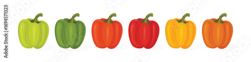 Sweet bell pepper set in different colors vector illustration isolated on white background.
