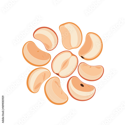 Illustration of peeled lychee fruit segments and whole lychee