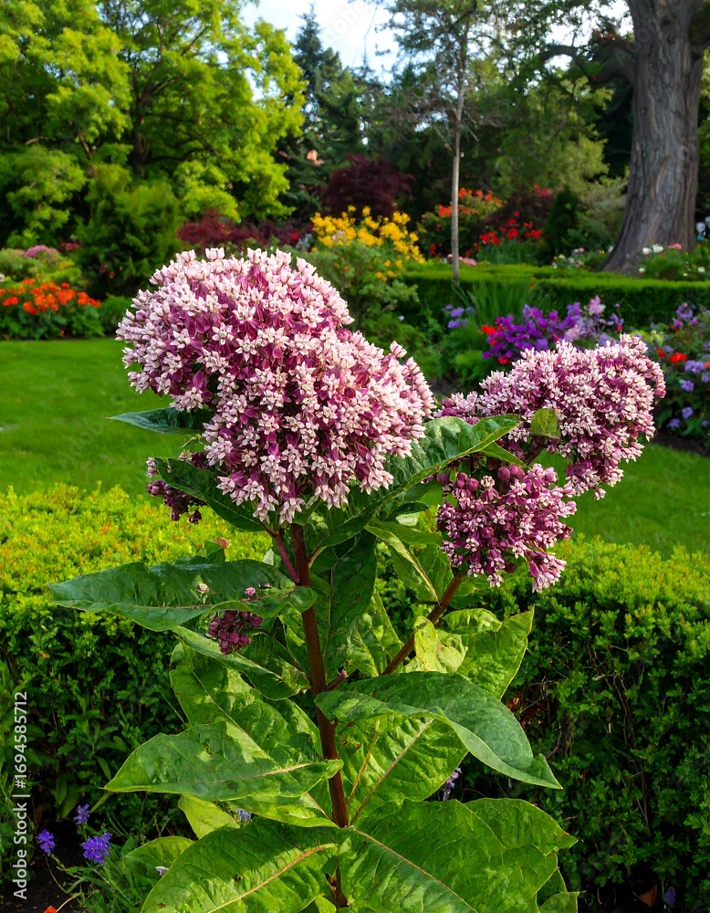 Obraz premium Lush garden flowers in vibrant colors