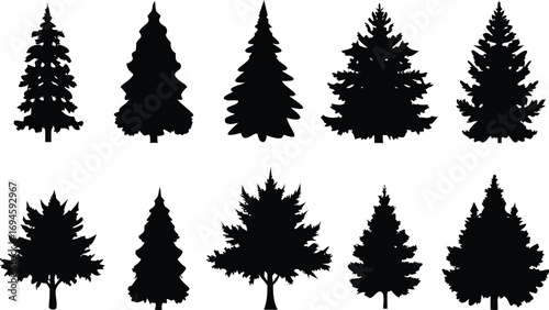 Collection of Various Black Silhouetted Evergreen Conifer Tree Illustrations on a White Background